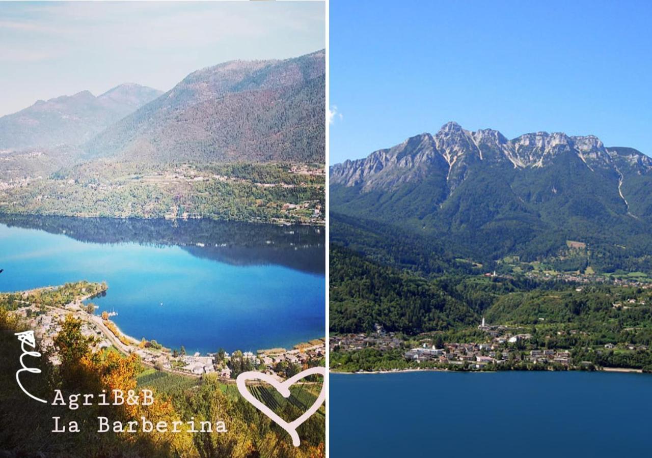 Agriturismo Farmhouse La Barberina Calceranica al Lago Kültér fotó